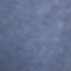 Meet your Posher, Mia